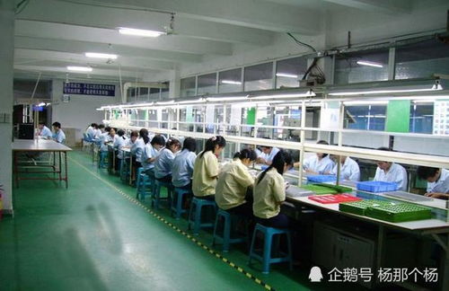 就我这样的人折腾折腾,都能折腾出钱,更别说你们了