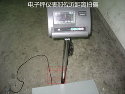 沪制XK3190-A12E 300kg电子秤 品质保证的不锈钢电器